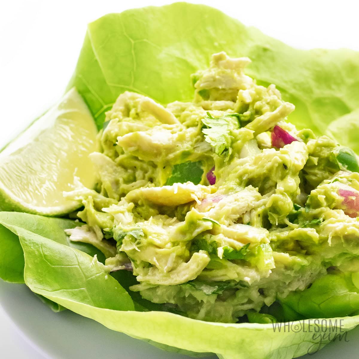 Healthy Avocado Chicken Salad: Fresh Flavors & Light Meals